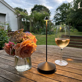 Luminária De Mesa Dilla Portátil Recarregável - Neohousi